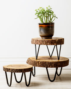 Acadian Bark Small Pedestal